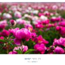 선원경로당 이미지