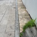 해갈/오정순 이미지