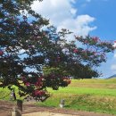 왕궁리유적 이미지