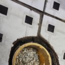 돈돼지식당 이미지