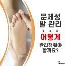 레푸스익산 이미지