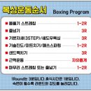 정일복싱 이미지