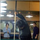 당구쟁이 이미지