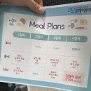 오케이김밥 | 캐나다 로키투어 3박 4일 패키지 후기 l 마이리얼트립 오케이투어 l 7월 성수기 월드컵 시즌 여행 l...