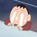 시흥탑애견미용학원 네이버블로그