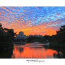 빛으로 그린 세상 이미지