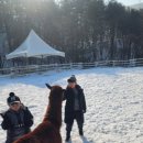 윤우목장 이미지