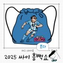 CNN | 싸이 흠뻑쇼 2025 대구 후기 CNN취재와 역대 최다 관객 기록
