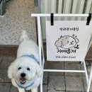 지애롭개 이미지