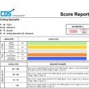 코딩자격증 | [공지] 2025 상반기 YBM COS &amp; COS PRO 코딩자격증 취득 후기