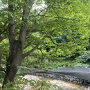 세종펜션민박 이미지