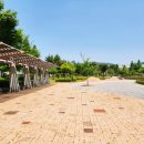 정자세천 이미지