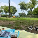 맘김밥천국 이미지