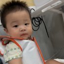 서울새싹병원 이미지