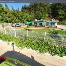 황룡공인중개사 이미지