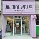 마이뷰티독 | 믿고 맡기는 강아지 애견 미용샵 마이뷰티독 (강서구 화곡동) 달콩이 미용