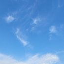 원당점 현대자동차 이미지