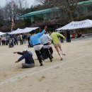 풍북초등학교(안동시 풍산읍 괴정리569 ) 이미지