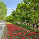 봉평메밀집 | 자양역 맛집 뚝섬한강공원근처 맛집 봉평메밀막국수 자양역점 맛있고 가성비좋은 막국수집