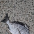 완도 사랑해펜션 이미지