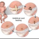 우석대부속전주한방병원산후조리원 이미지