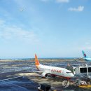 제주공항 이미지