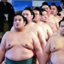 스모 이미지