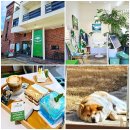 초당가는길 펜션 | [강릉] 건강한 디저트 초당두부티라미수 'DOOTI' 국내산콩 100% ㅣ 솔직후기