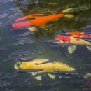 유한회사 태호 이미지