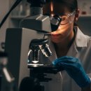 301-2-000100 | K-바이오 기술수출 핵심 종목 8가지