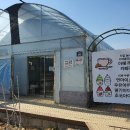 두물머리커피농장