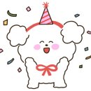 디스크 독 연구소 이미지