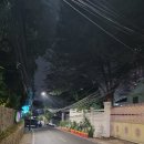 지앤수 | 인도네시아 자카르타 여행