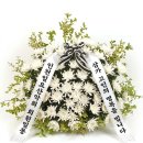 [부고] 순이(김순이)님의 시어머님께서 별세 하셨읍니다 이미지