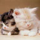 계산메디칼센터 이미지