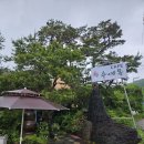 수예몽 | 의왕 앵무새 카페 수예몽 후기