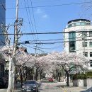 일동제약 사거리 이미지