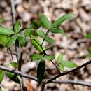 개산초등학교 이미지