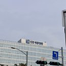 세종병원 | 인천세종병원 부모님 협심증 검사 후기 l 관상동맥조영술·스텐트 시술 후기