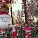 도척농업협동조합 | 서울대공원 입장 마감돼서 급서울랜드! 아이들이 더 신나했던 하루 후기(할인정보 및 다둥이카드)