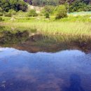 가리골농장 이미지