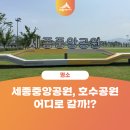 세종동_중앙공원 야구장 축구장 사이 | 세종중앙공원 호수공원 어디로 가볼까?