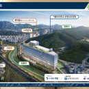 에이스팜 이미지