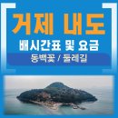 배둘레꽃 티스토리