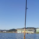 탄금호국제조정경기장 경기장 이미지