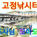 20211030 김포 고정낚시터 조사님 송어낚시 조황, 랜딩, 인증샷 모음. 손맛! 짱! 이미지