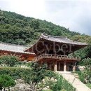 영도도서관 티스토리