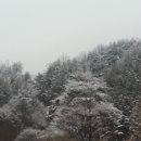 안성면100 이미지