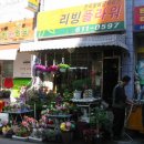 리빙플라워