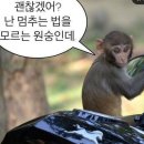 (주)서대전공업사 | 대전 오류동, 서대전네거리에서 핫한 곱창, 대창집 사나이 창 오류점 다녀온 후기와 팁